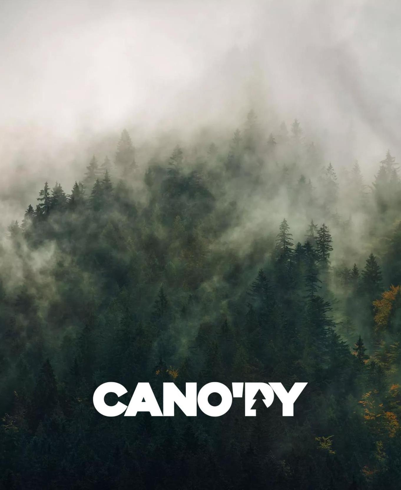 Cano'Py, Charmant 2 Pieces Avec Vue Montagne En Coeur De Ville Bagneres-de-Luchon ภายนอก รูปภาพ